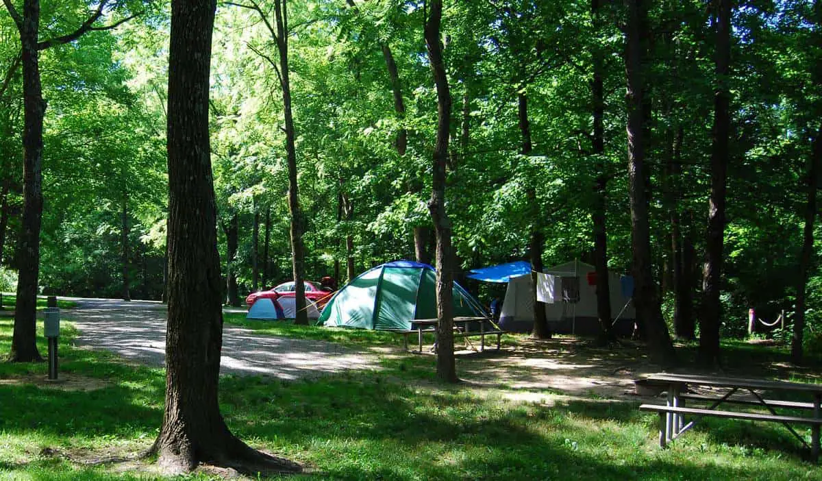 Things Need To Know About Winton Woods Campground