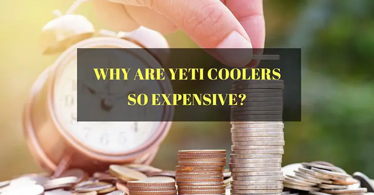 Why Are Yeti Coolers So Expensive? The Real Answer - Adventure Land